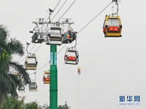 索道飛渡，空中垂降 直擊高空客運索道應急救援演練